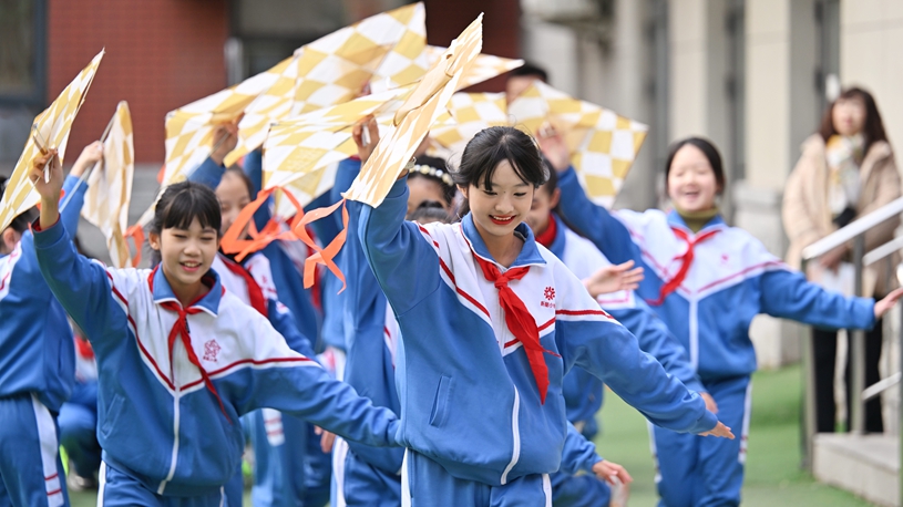 引入不仅优